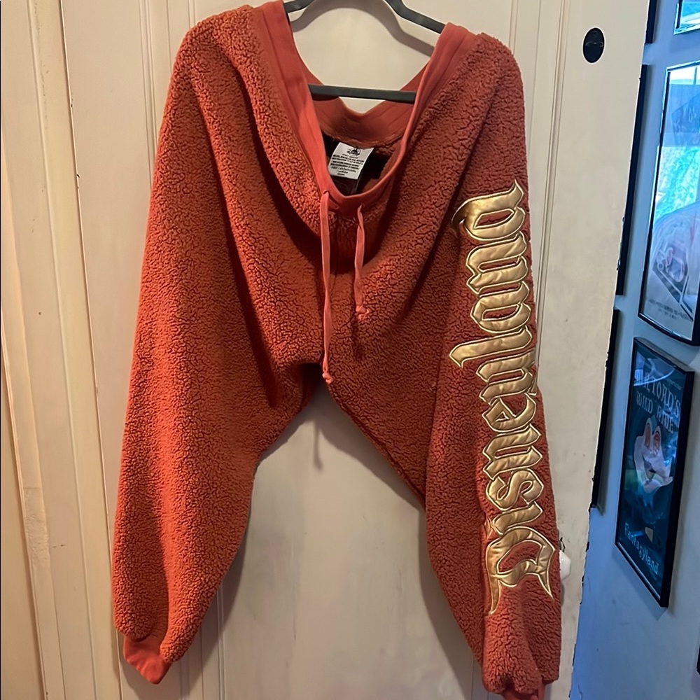Disney Spirit Jersey Disneyland Fleece Pants